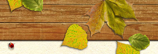 Laraine Herring website background showing wood, leaves, and a ladybug.
